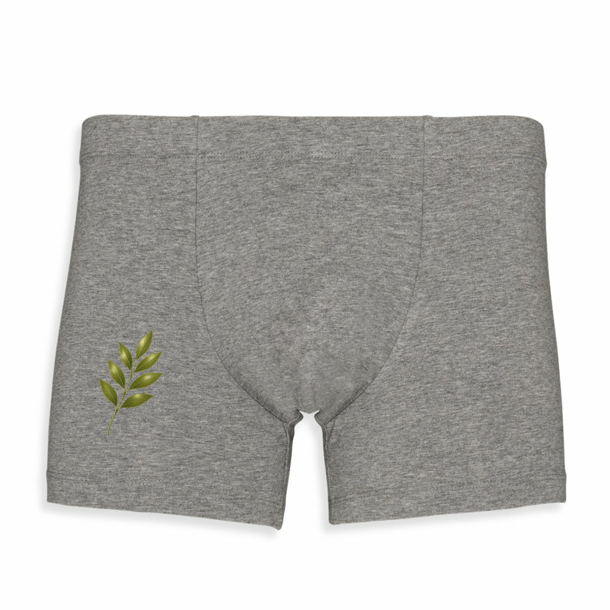 Boxer Homme - Élégance Naturelle avec Tige et Feuilles Vertes - face_0